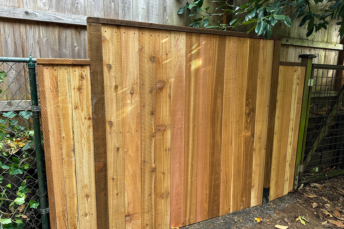 Cedar fence project