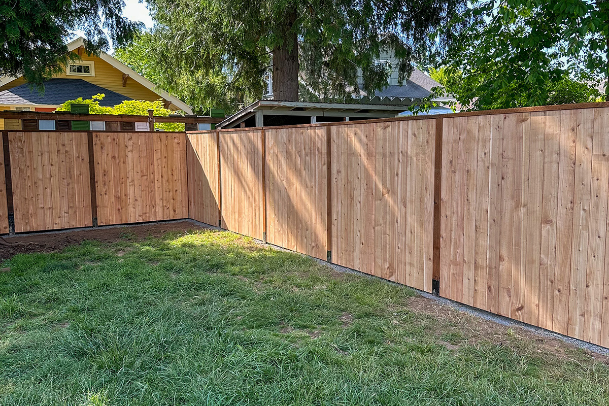Cedar fence project