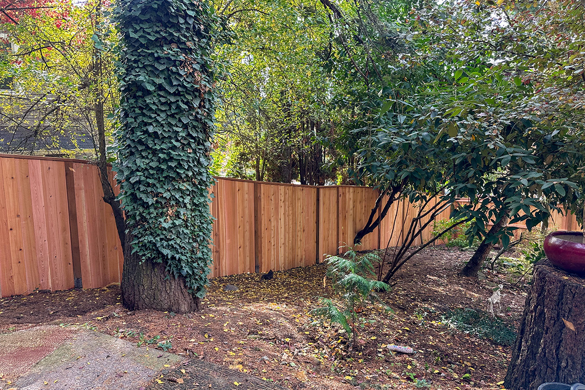 Cedar fence project