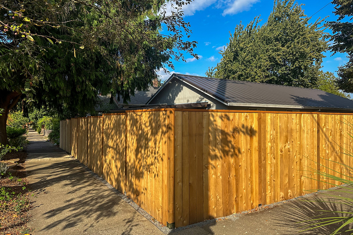 Cedar fence project
